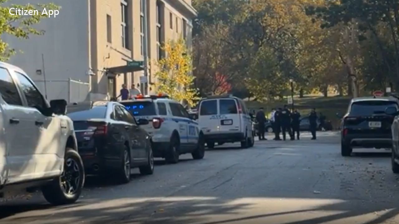Teen walking to school shot in Bronx; police searching for masked gunman and second suspect
       — WABC-TV Eyewitness News (ABC7 NY)